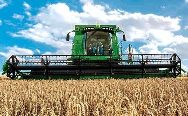 bugday-hasat-gidahatti