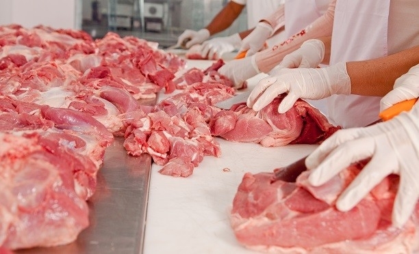 “Et fiyatının düşmesi için hayvan varlığı artmalı”