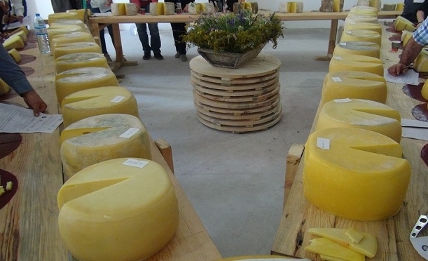 kars-kasari-gidahatti