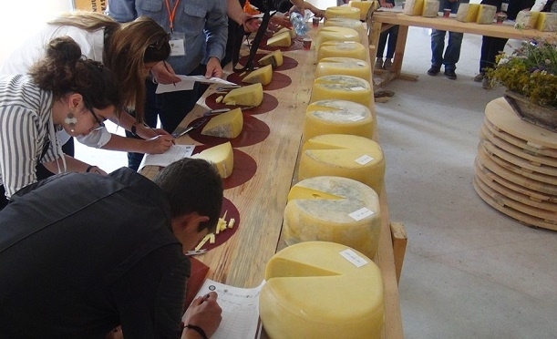 kars-kasari-tadim-gidahatti