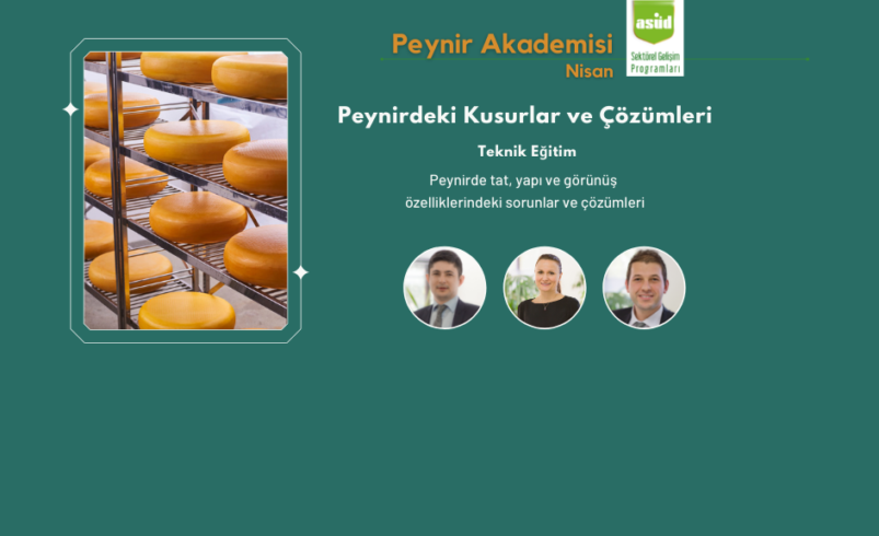 Peynirdeki Kusurlar ve Çözümleri